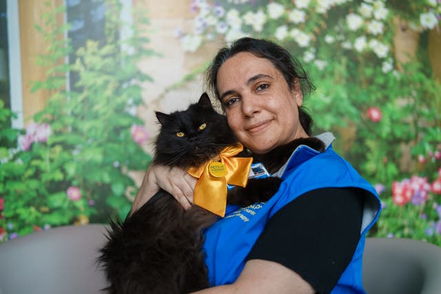 Winner of the Cat Of The Year category, Mr London Meow, with owner Isabel Serafim (Mirror People’s Pet Awards/PA)