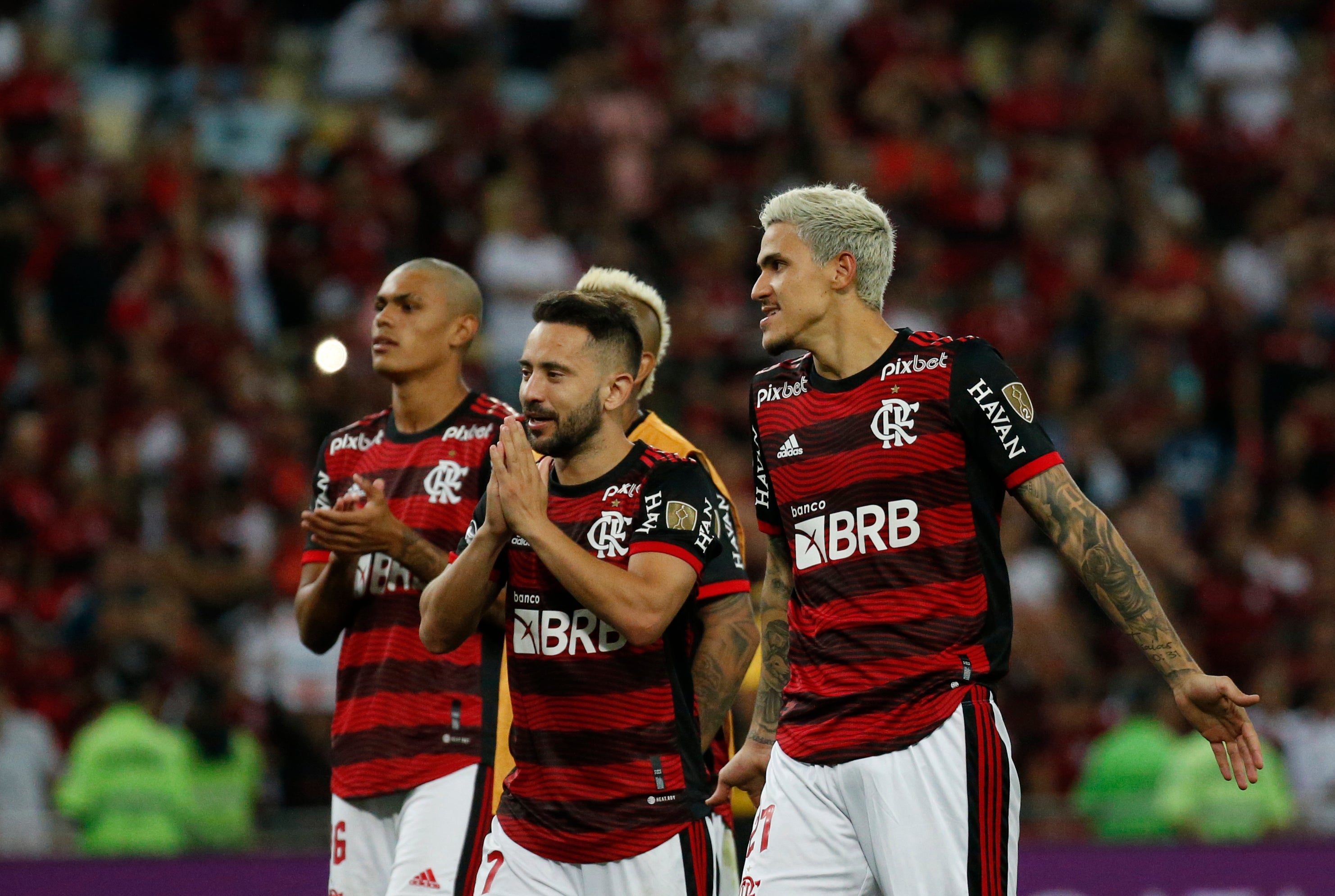 LIBERTADORES-RESUMEN