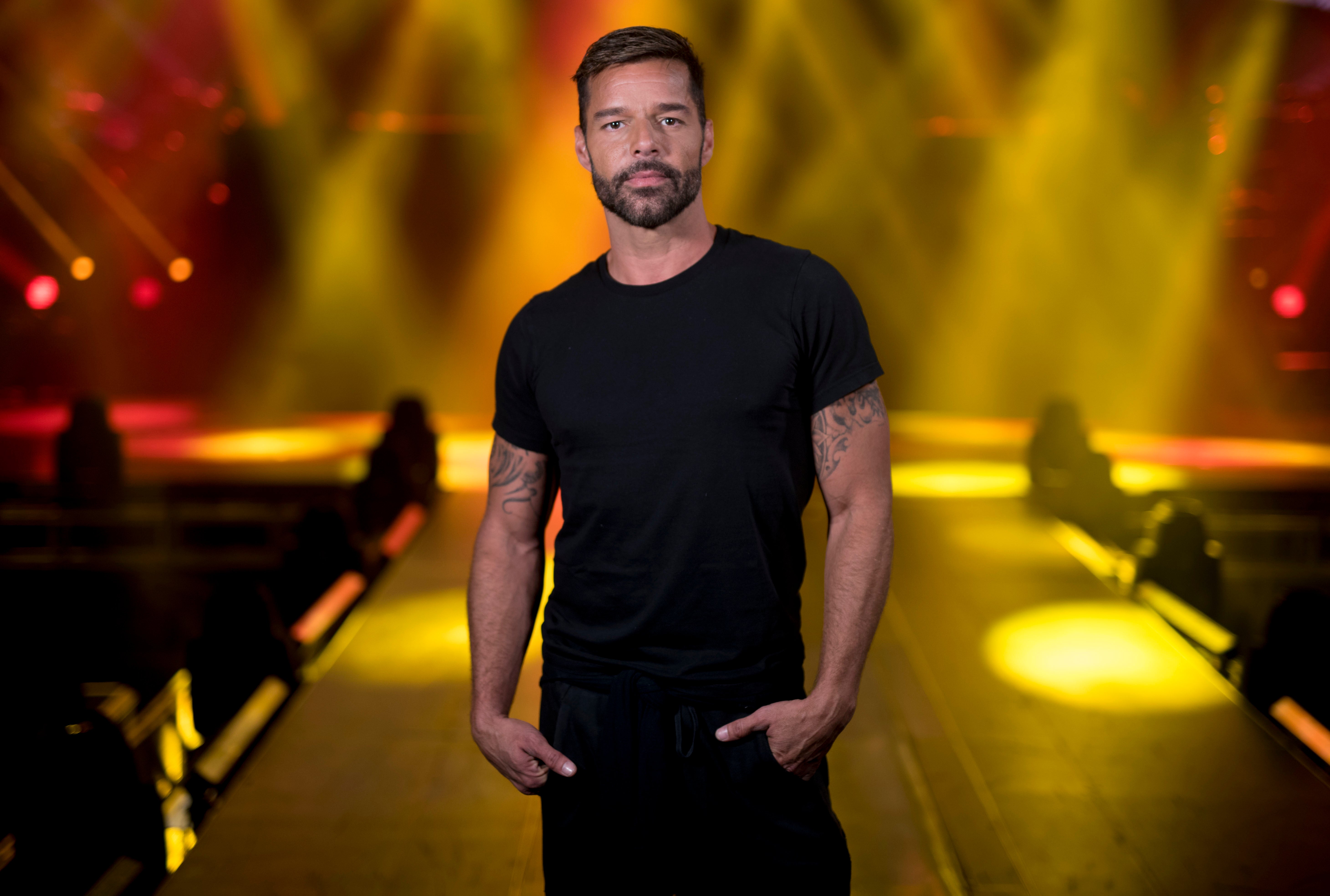 <p>RICKY MARTIN-DEMANDA</p>