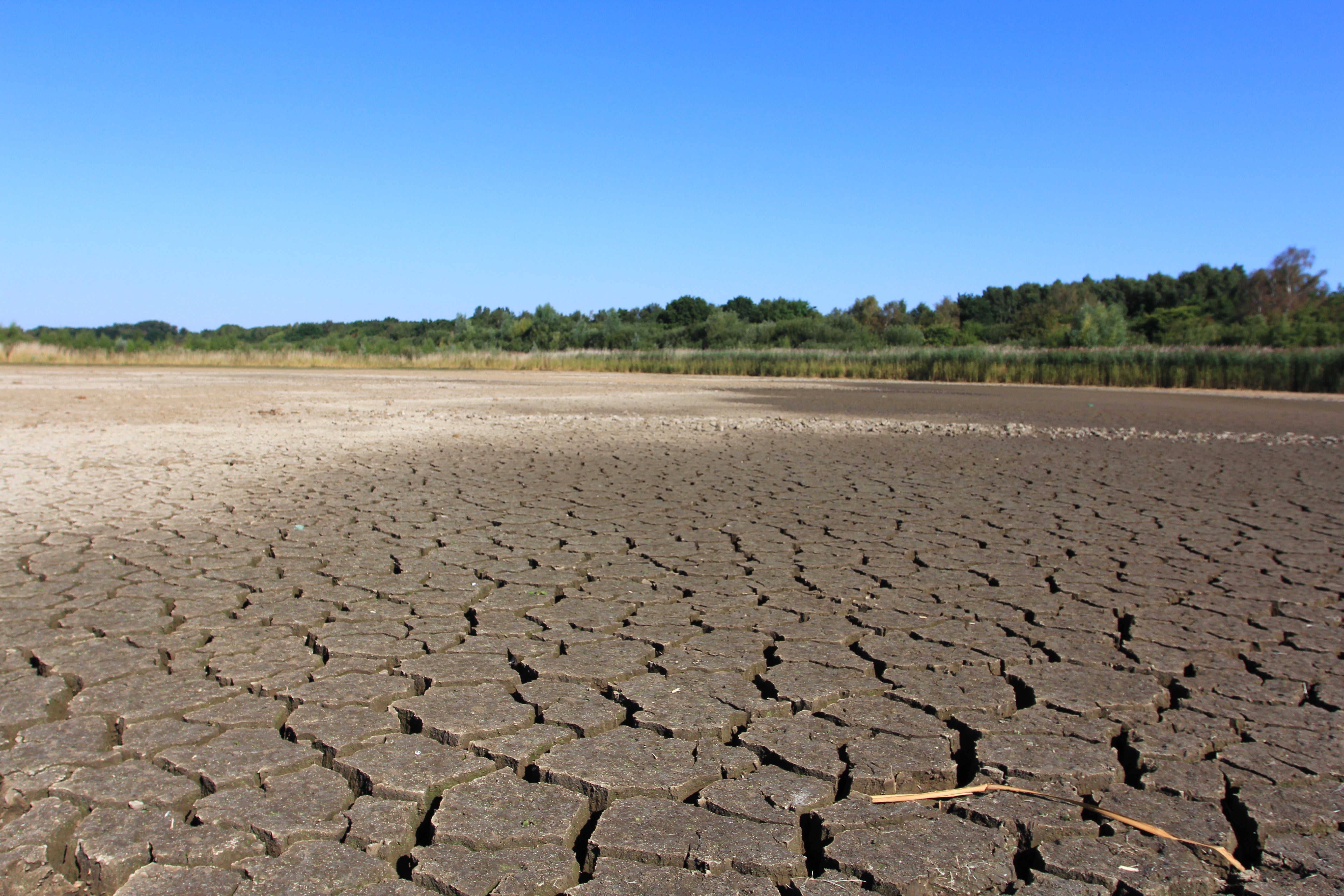 Cracked earth has replaced the freshwater habitat at West Scrape at Potteric Carr in South Yorkshire