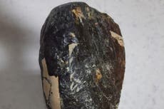 Gang smuggling whale vomit worth £1m arrested in India