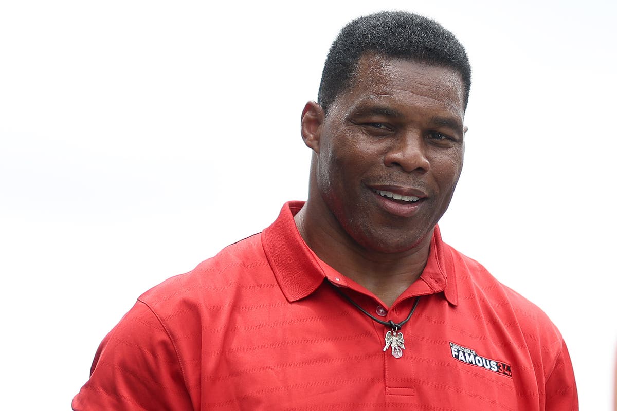 Georgia Senate candidate Herschel Walker makes bizarre analogy about cows and bulls 