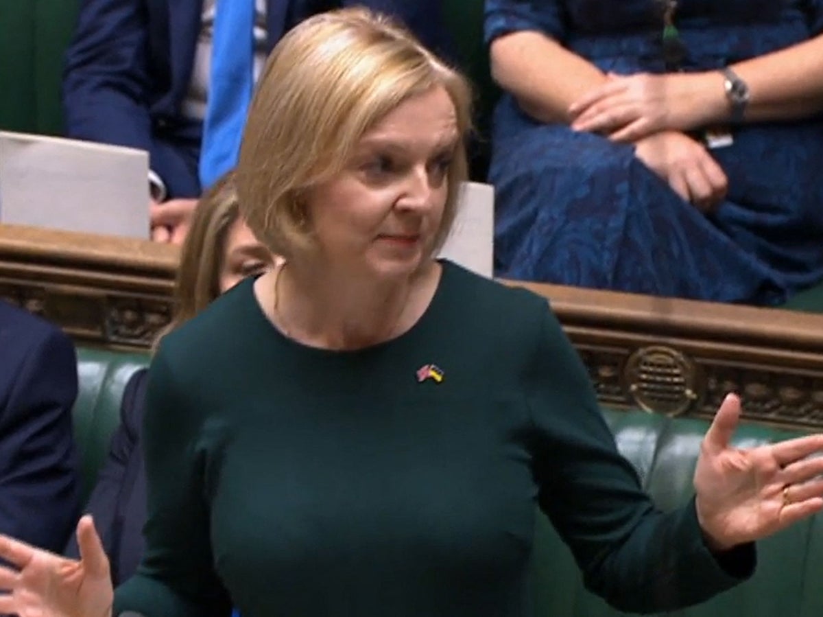 Liz Truss calls for time for 'disguised' government and brings back ties