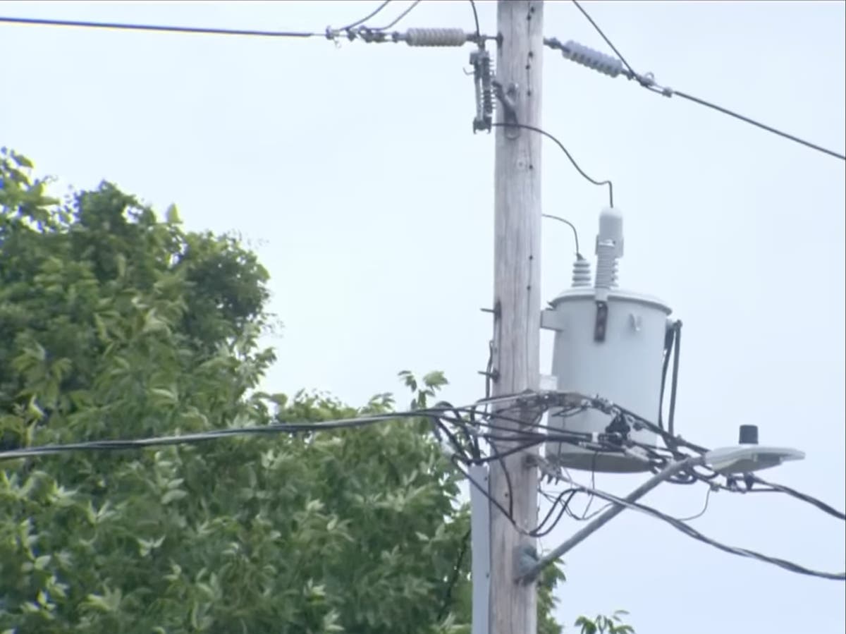 Squirrel causes over 10,000 people to lose power in Virginia | The ...