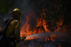 71 large wildfires blazing across US as firefighters swelter in 100F heatwaves