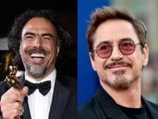 Alejandro González Iñarritu is still hurt by Robert Downey Jr’s 2015 response to his superhero comments