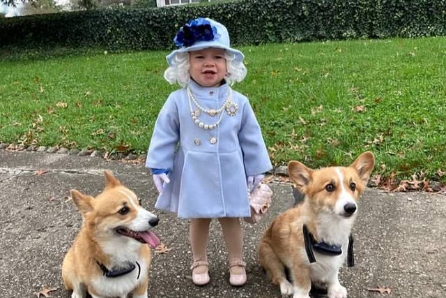 <p>Kentucky toddler Jalayne Sutherland channels Queen Elizabeth II </p>