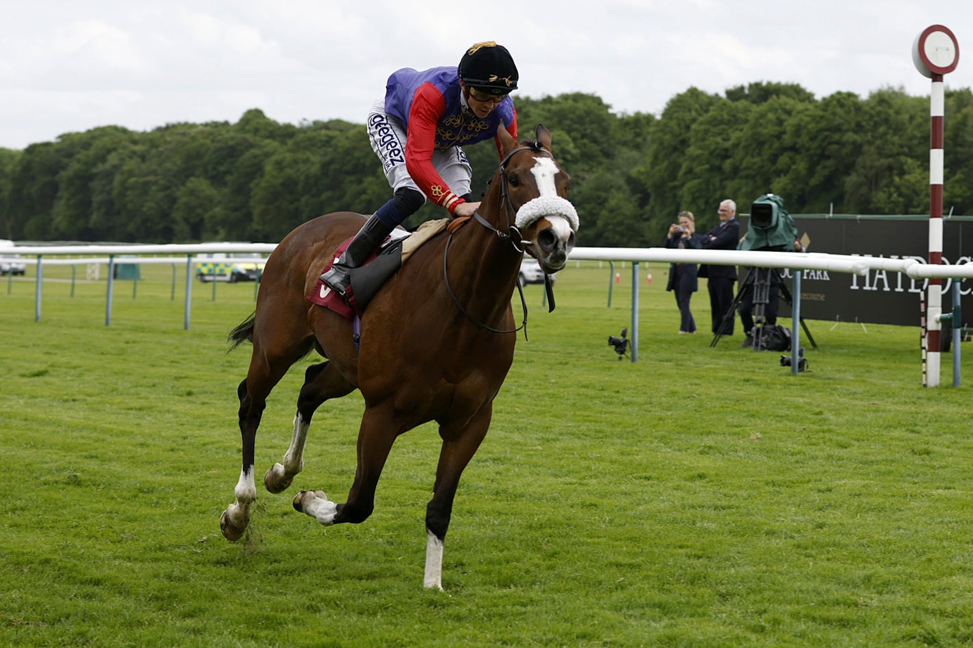 The Queen’s horse King’s Lynn will not run on Sunday (Richard Sellers/PA)