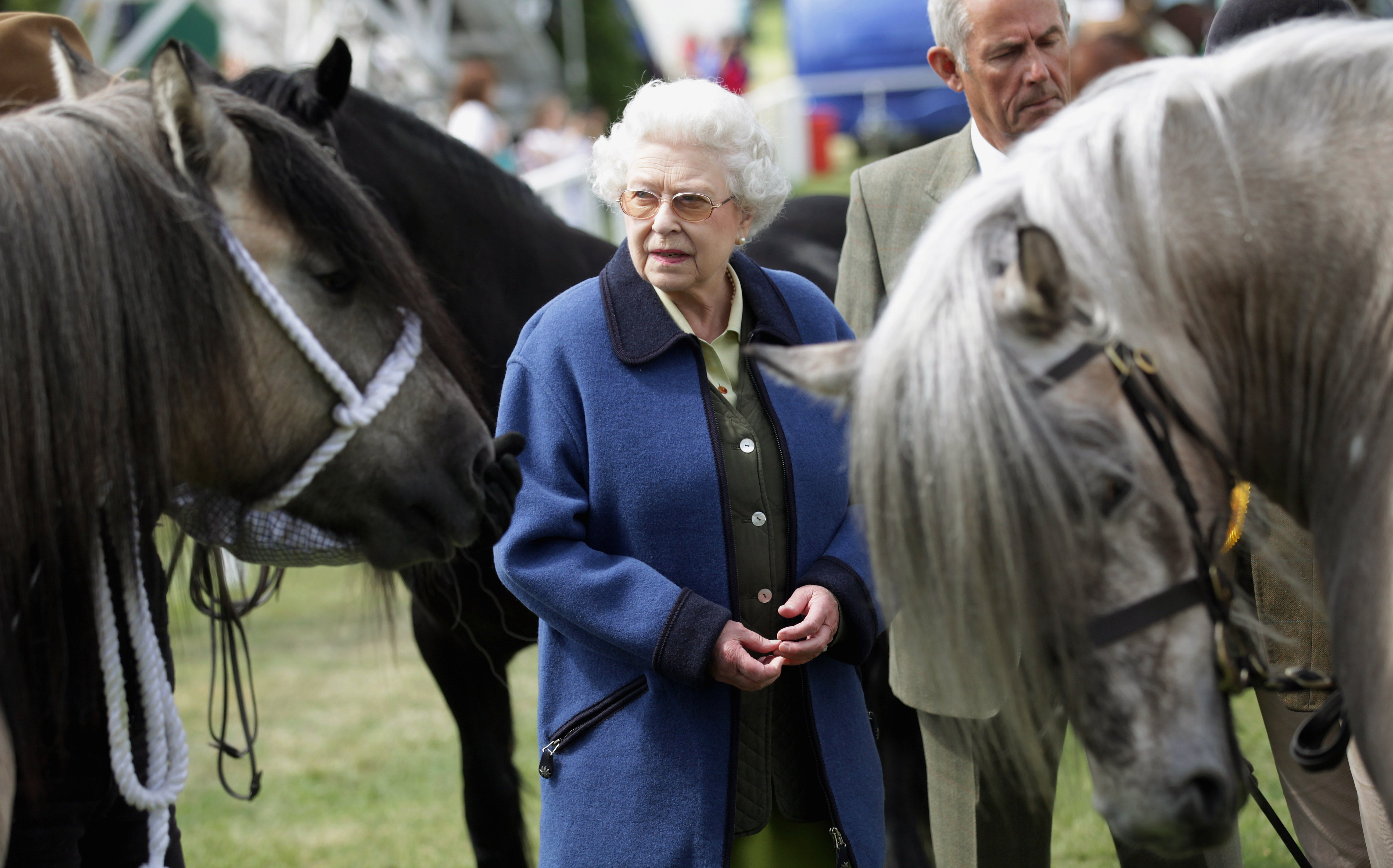 The Queen at the Windsor Horse Show in 2011