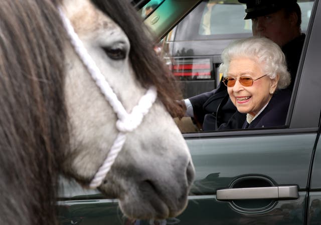 <p>The Queen enjoyed a lifelong love of horses </p>