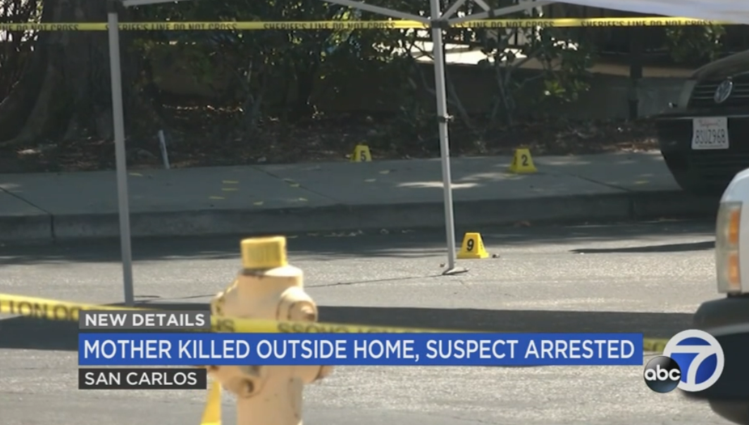 A young mother of two was decapitated by a sword outside her Bay Area home where ‘several’ witnesses saw her violent death, local news reported