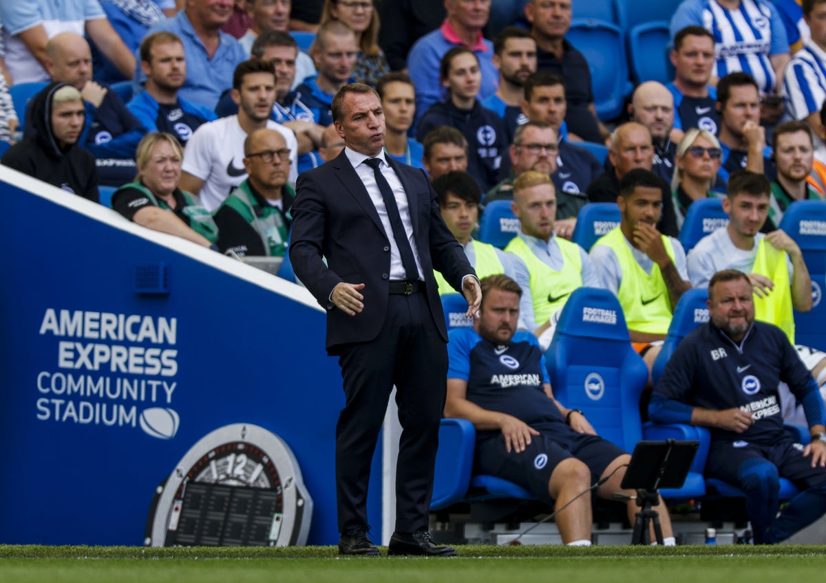 Brendan Rodgers vows to fight to stay at Leicester