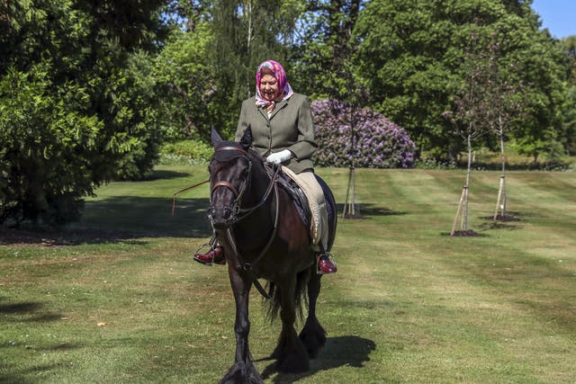 Queen Elizabeth II riding Balmoral Fern, a 14-year-old Fell Pony, in Windsor Home Park (PA)