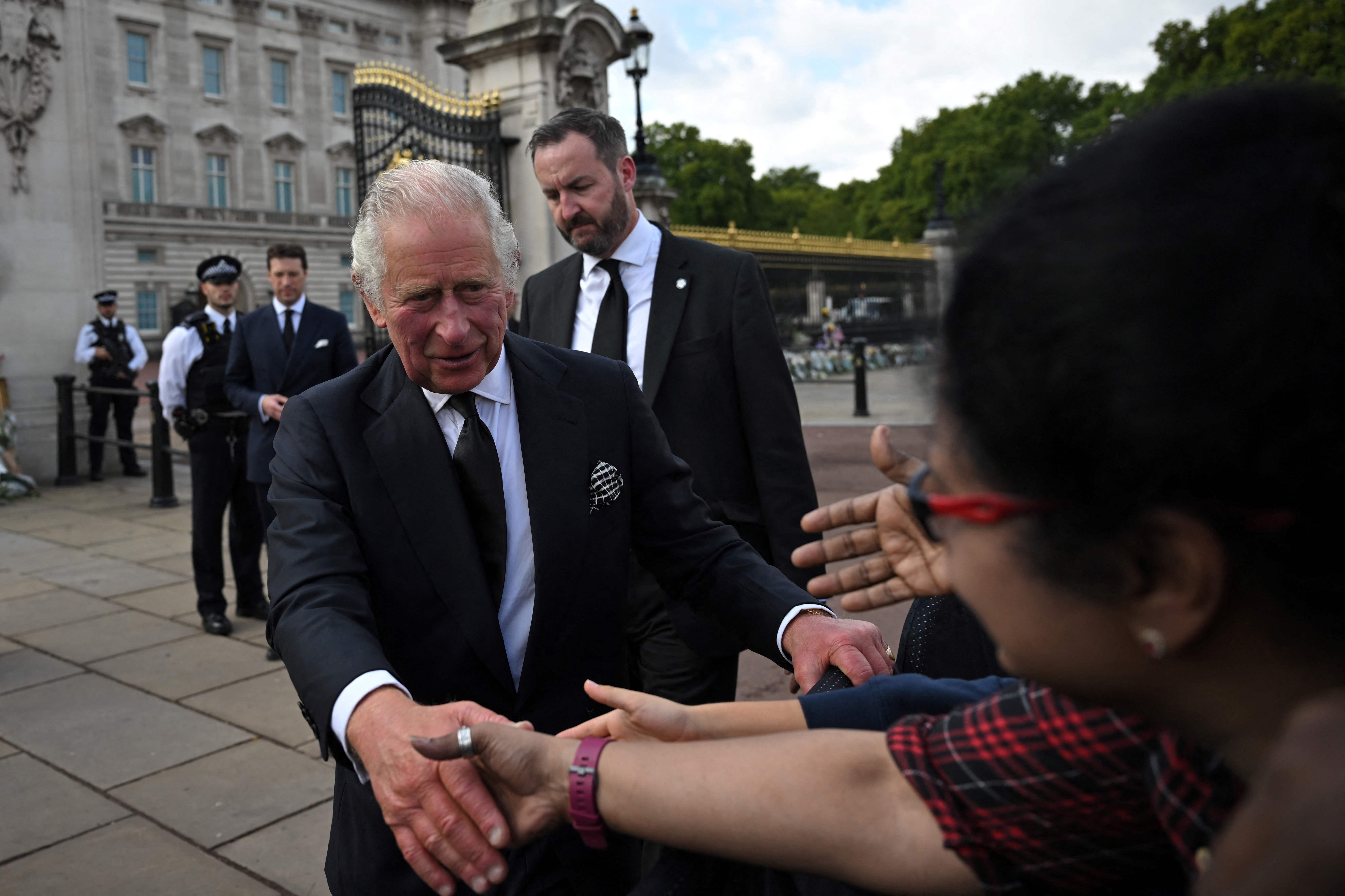 The King shakes the hand of a person at Buckingham Palace