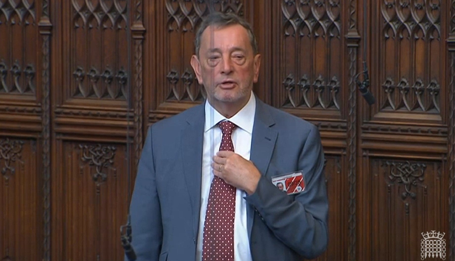 Labour’s Lord Blunkett during a speech to the House of Lords (House of Lords/PA)