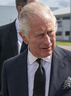 Charles hailed as ‘possibly most significant environmentalist in history’