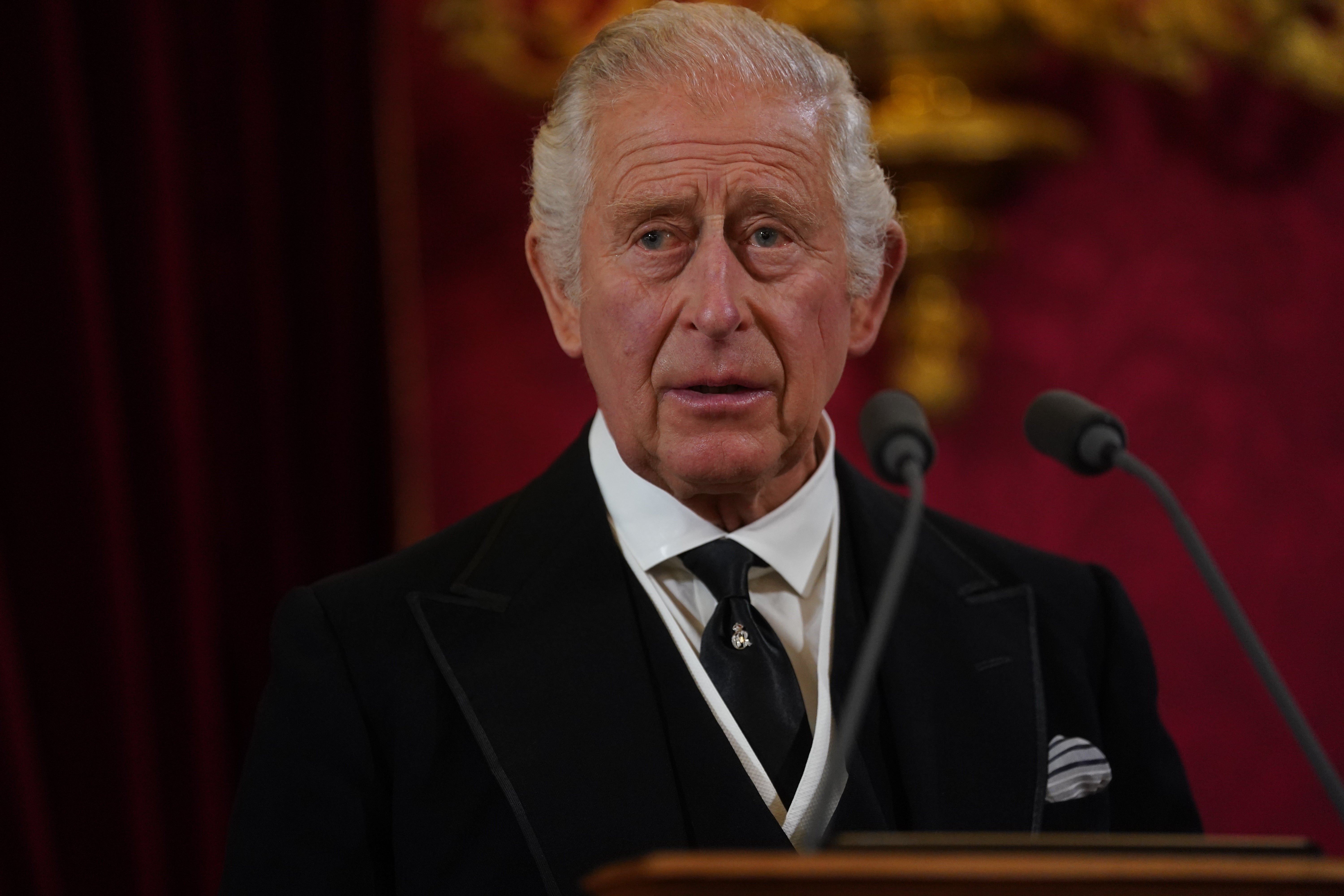King Charles III during the Accession Council at St James’s Palace, London, where King Charles III is formally proclaimed monarch (PA)