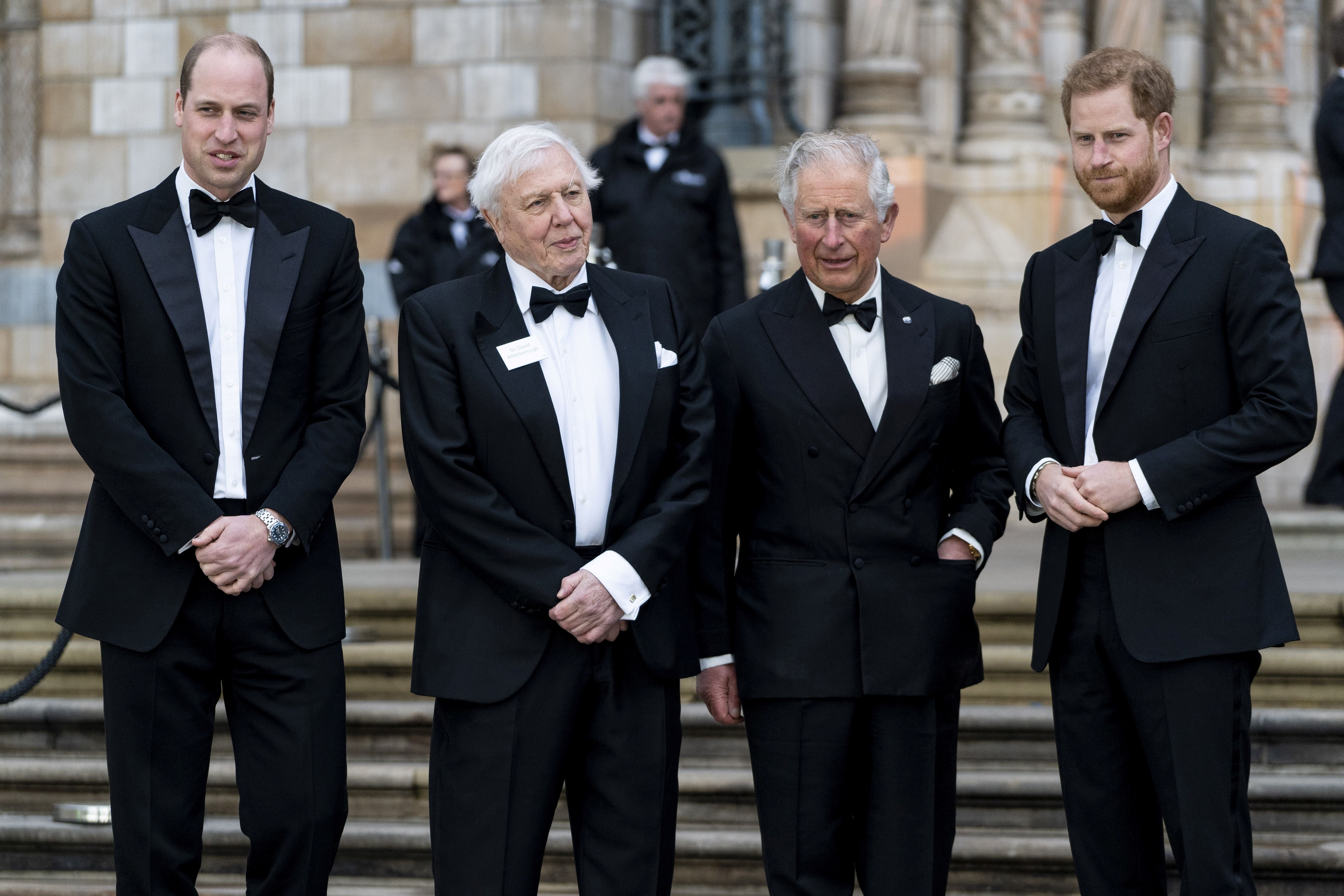 The then-Duke of Cambridge and then-Prince of Wales pictured at the premiere of ‘Our Planet’ with broadcaster David Attenborough and Prince Harry