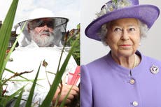 Royal beekeeper informs Buckingham Palace bees that the Queen has died