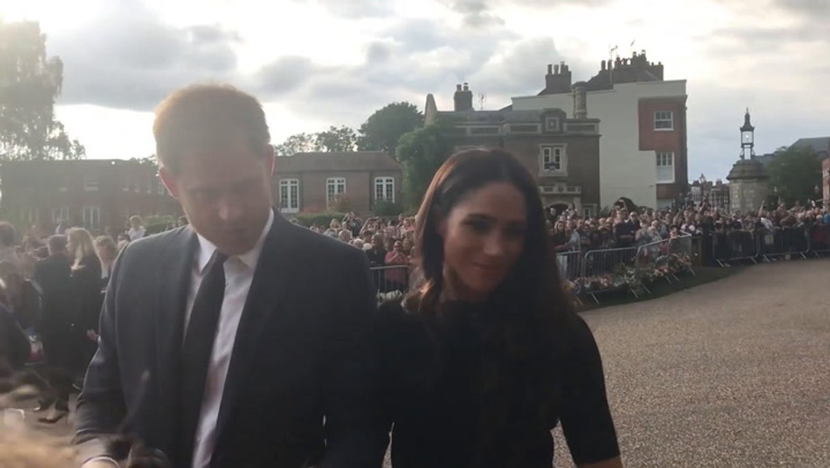 Harry and Meghan speak to public outside Windsor Castle