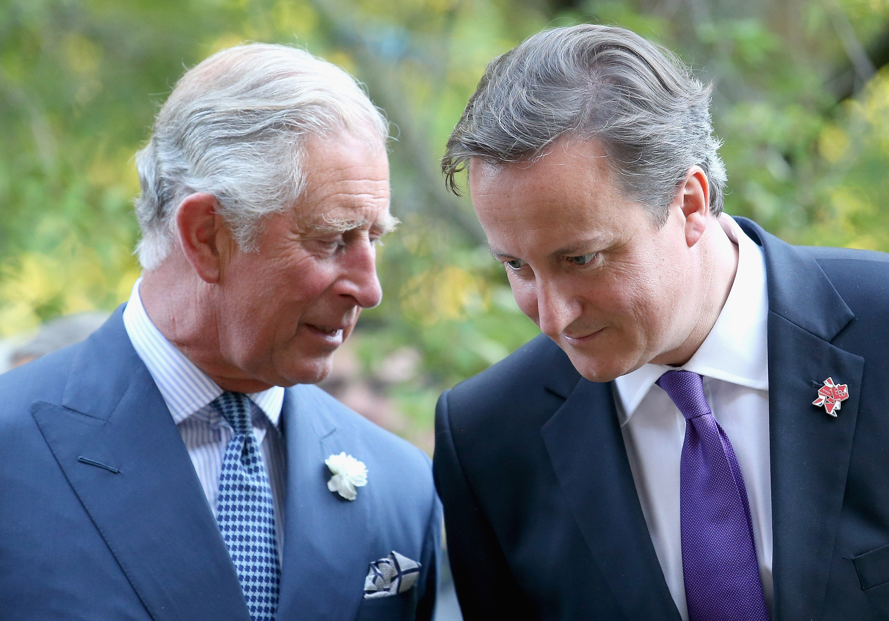 Charles and then prime minister David Cameron (Chris Jackson/PA)