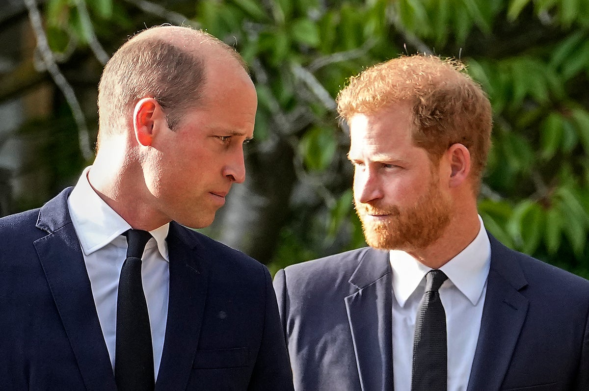 Voices: Are William and Harry the best of friends again? Don’t overthink it