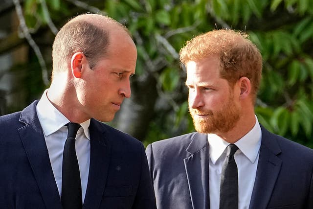 <p>William and Harry aren’t able to slug it out after a few too many pints</p>