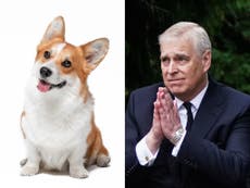 Prince Andrew and Sarah Ferguson to take the Queen’s corgis 