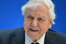 David Attenborough sends adorable letter to young fan who named insect after him