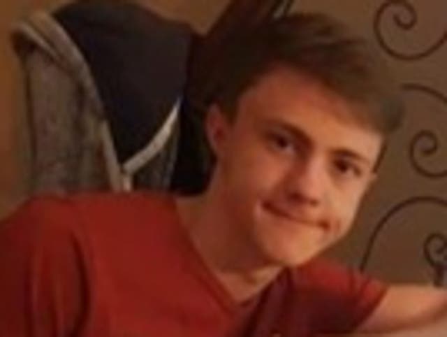 <p>Cameron Lindley (pictured) was found by police officers with fatal injuries after being called to a home Treforis, Ammanford</p>