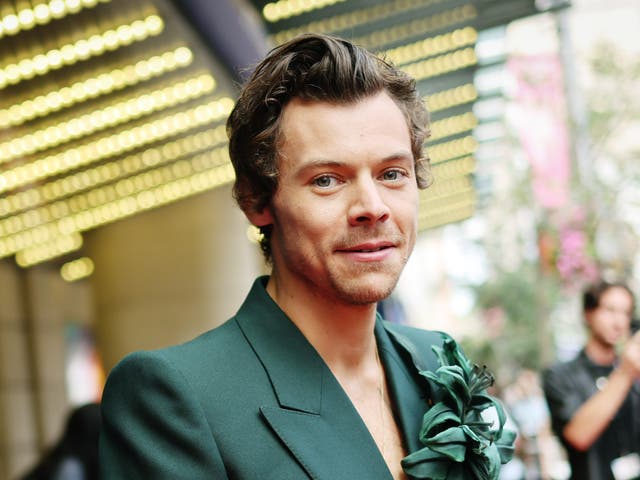 <p>Harry Styles</p>