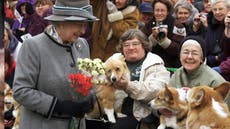 Royals tasked with taking care of the Queen’s beloved corgis revealed