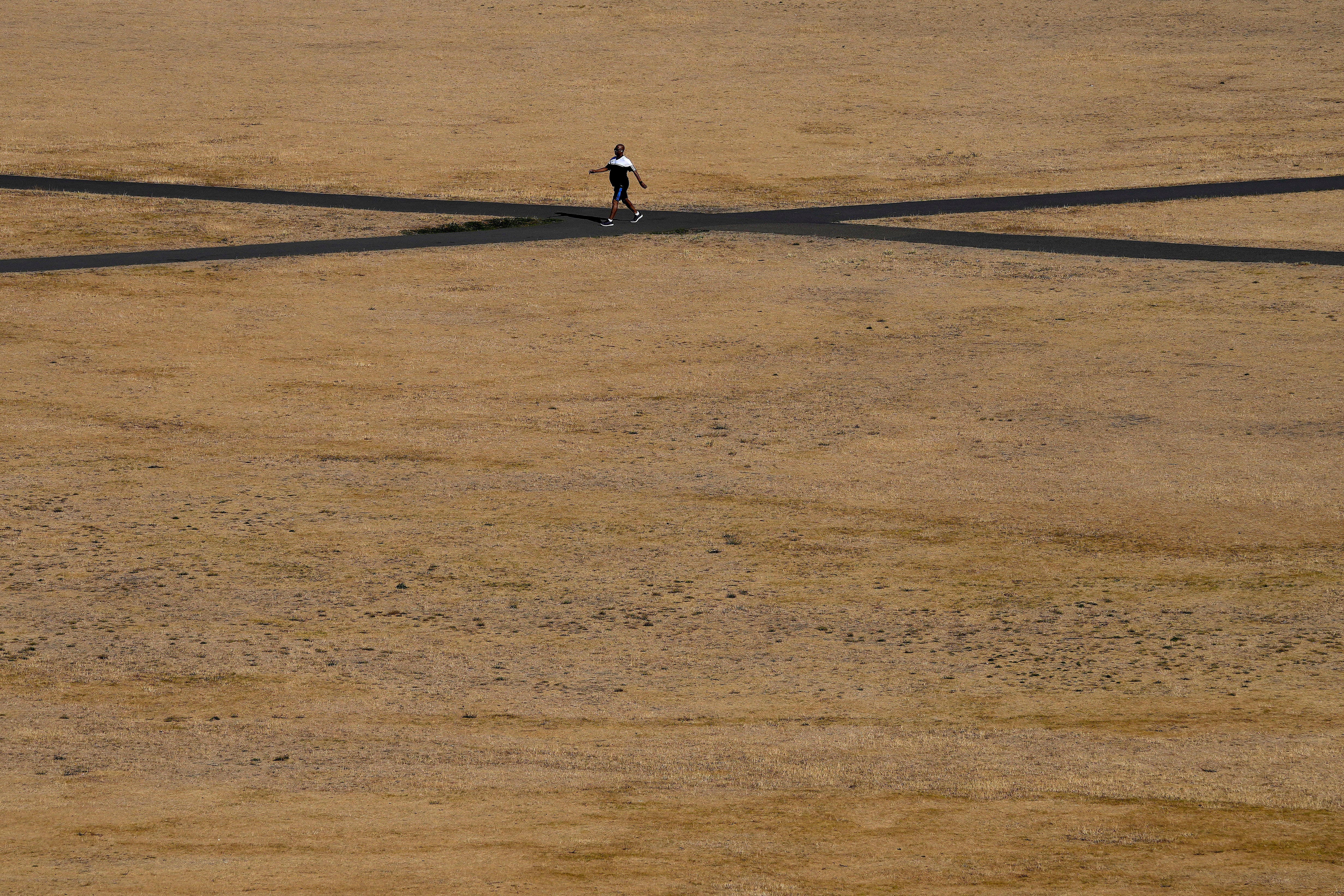 The UK saw record temperatures this summer, with normally green spaces like Greenwich left arid