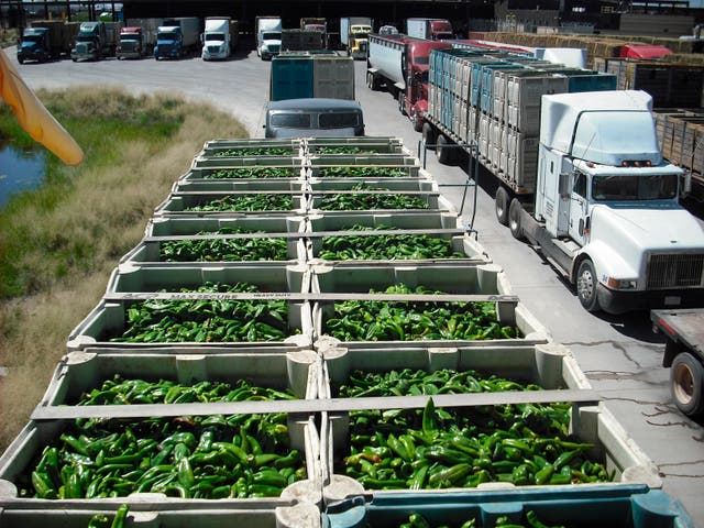 NUEVO MÉXICO-CHILES
