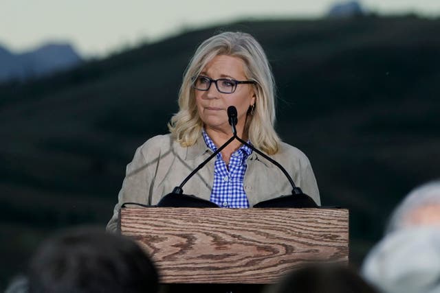 <p> Liz Cheney says Donald Trump’s efforts to overturn the elections left the nation in a ‘no man’s land’ </p>