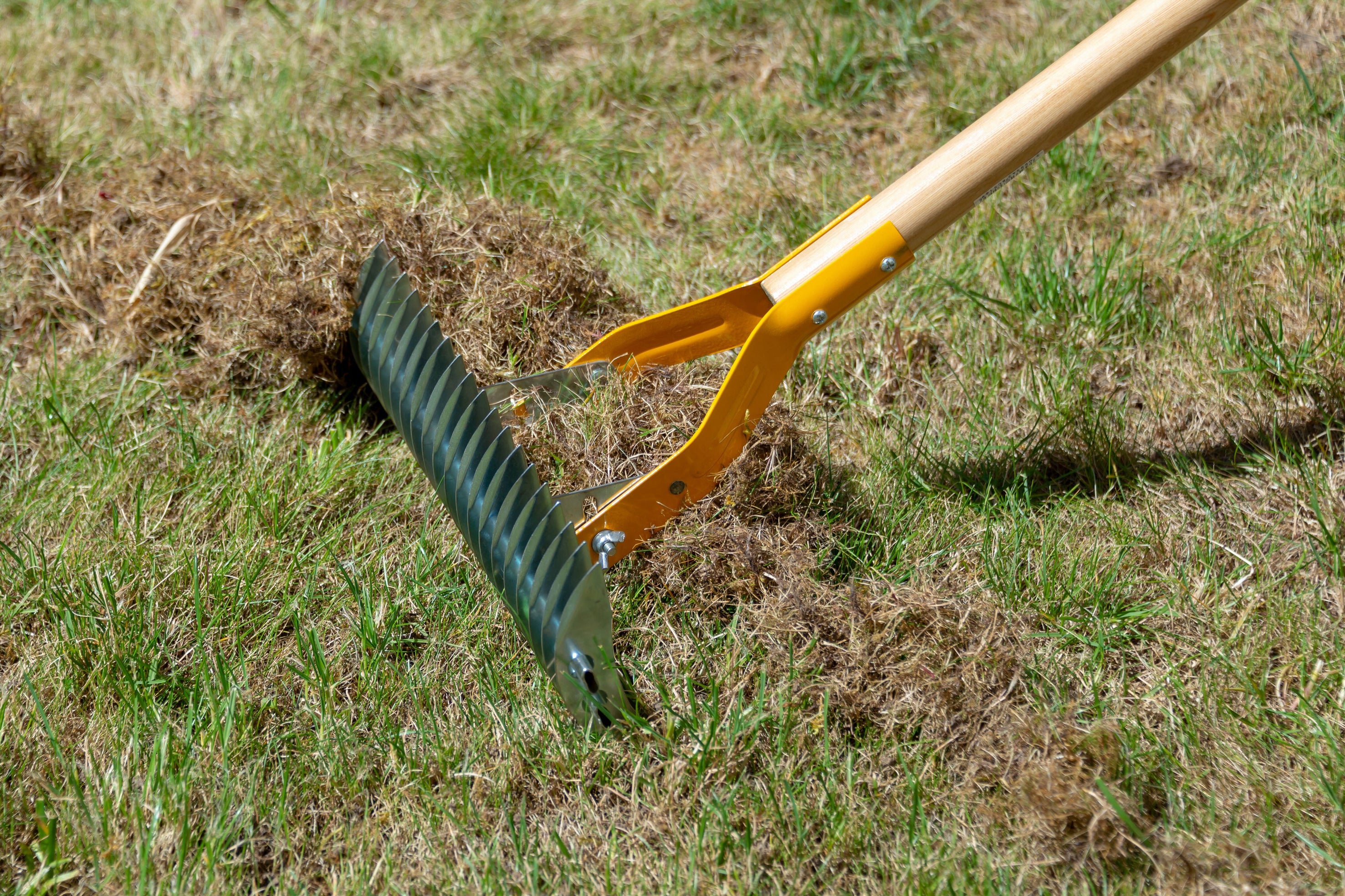 How to revive your lawn after summer | The Independent