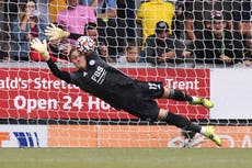 Everton sign Eldin Jakupovic as cover after Jordan Pickford injury