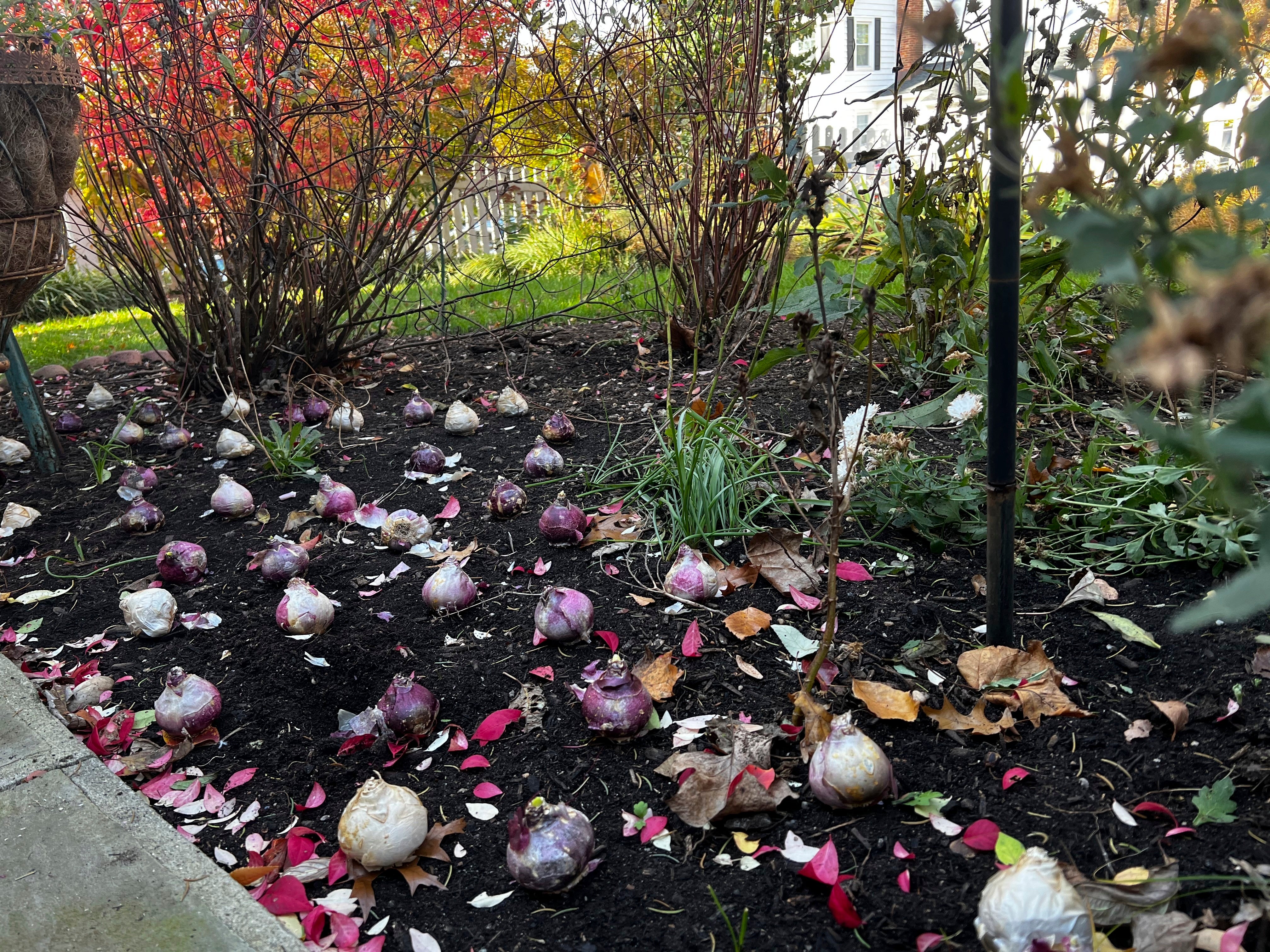 Gardening Late-Season Tips