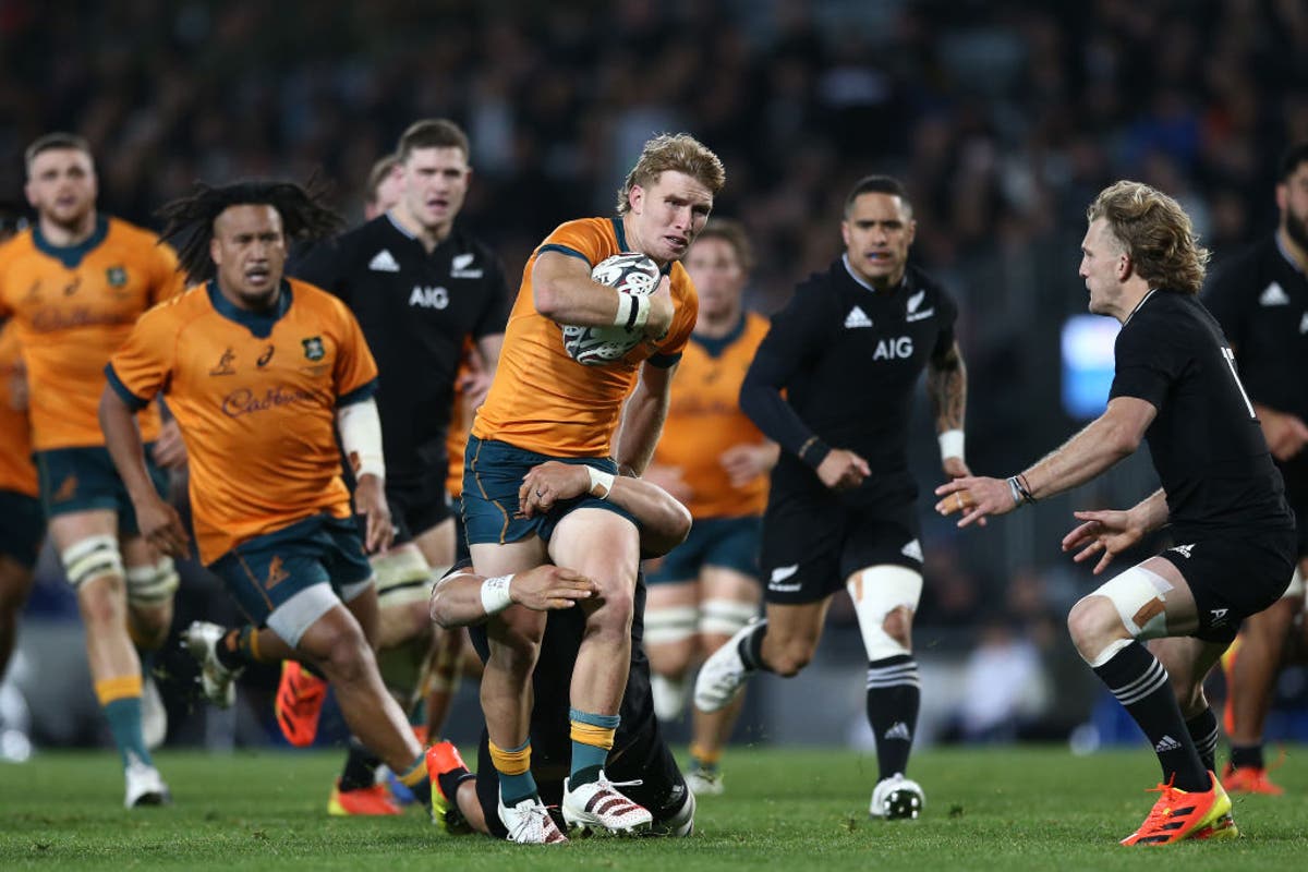 Australia vs New Zealand live stream: How to watch Rugby Championship match online and on TV