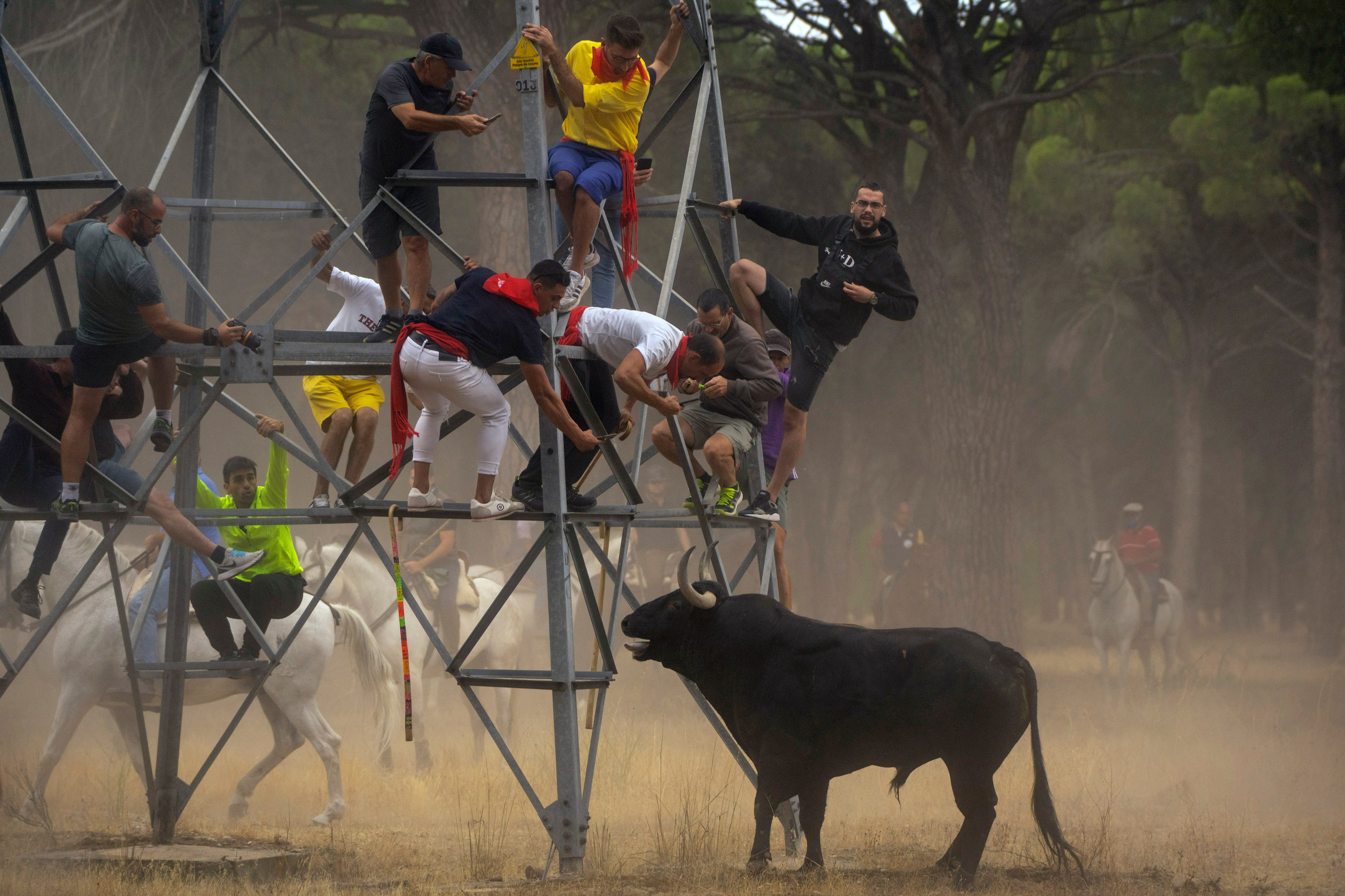 Spain Bull Festival