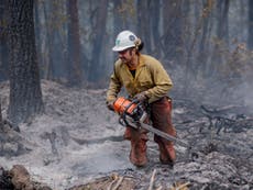 317 wildfires and 14 million people at risk of floods: Climate hazards in the US today