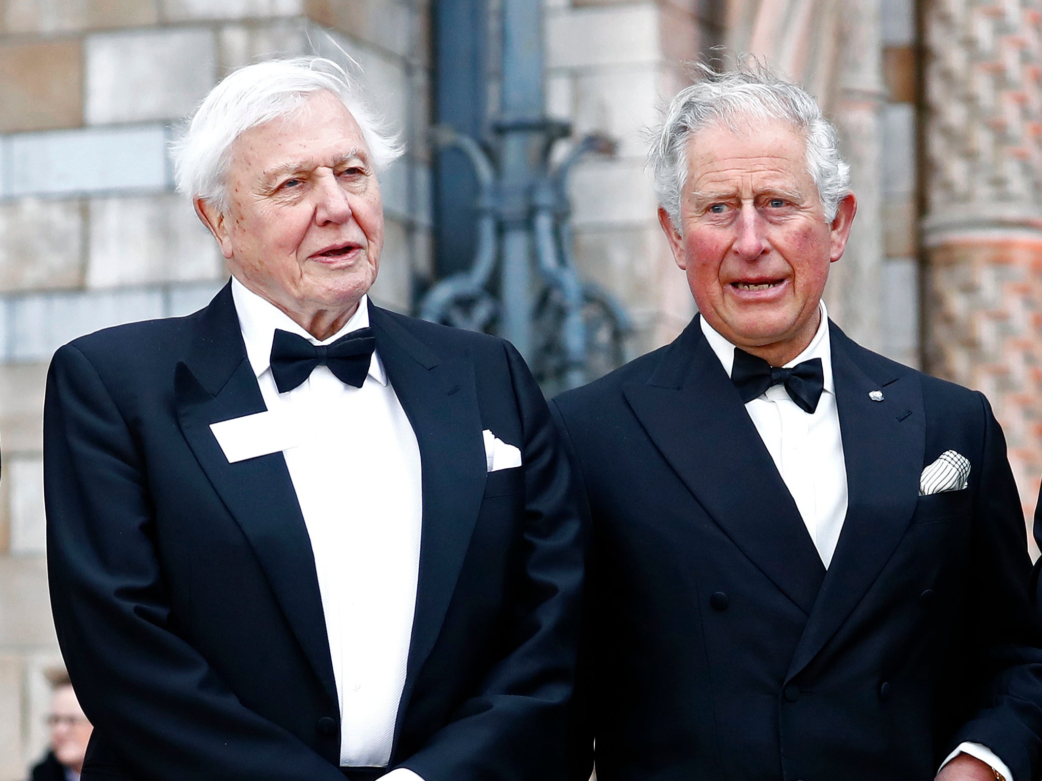 <p>David Attenborough and the then Prince of Wales attend the “Our Planet” global premiere the at the Natural History Museum in London in 2019. </p>