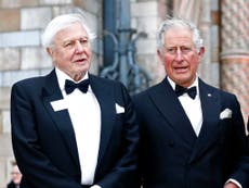 David Attenborough says King Charles has been at ‘forefront’ of concern for natural world