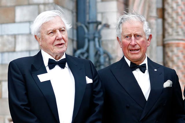 <p>David Attenborough and the then Prince of Wales attend the “Our Planet” global premiere the at the Natural History Museum in London in 2019. </p>