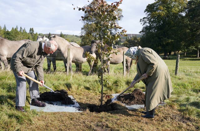 A tree-planting initiative to mark the Queen’s Platinum Jubilee has been extended to allow people to plant trees as a memorial to the monarch (Andrew Milligan/PA)