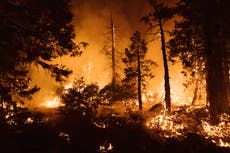 327 wildfires and 5 million people at risk of floods: Climate hazards in the US today