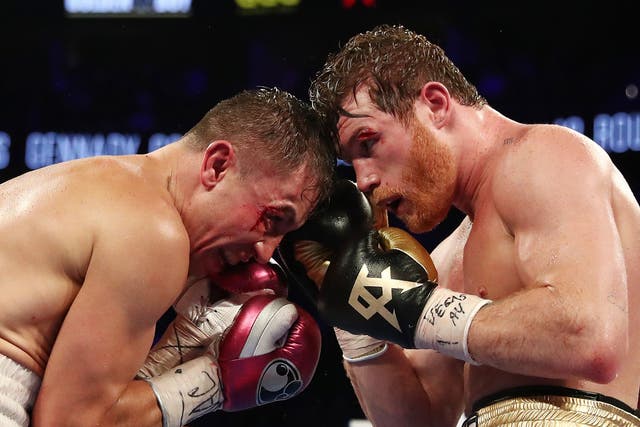 Saul 'Canelo' Alvarez - latest news, breaking stories and comment - The  Independent