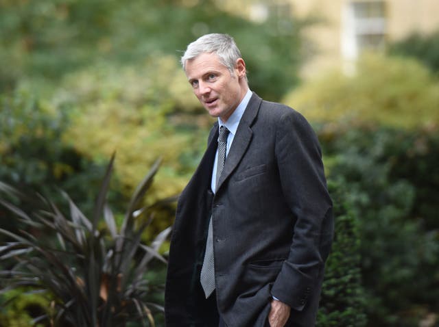 <p>Tory peer Zac Goldsmith has been sacked as an environment minister (David Mirzoeff/PA)</p>