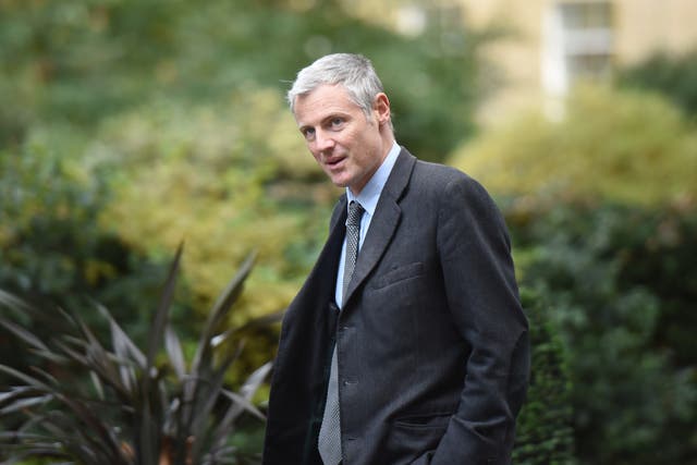 <p>Tory peer Zac Goldsmith has been sacked as an environment minister (David Mirzoeff/PA)</p>