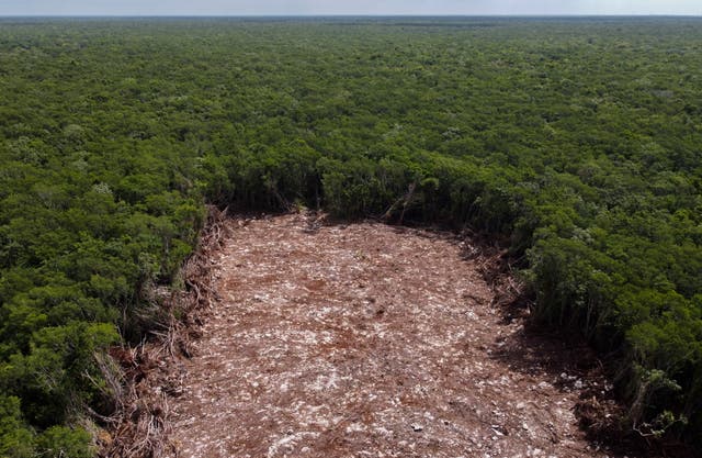 MÉXICO-TREN MAYA